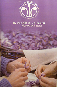 zafferano di cascia