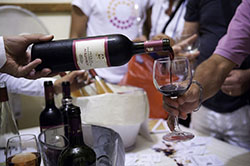 vino