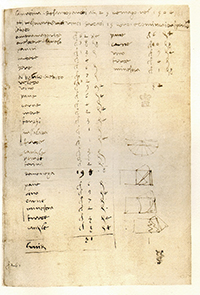 lista della spesa