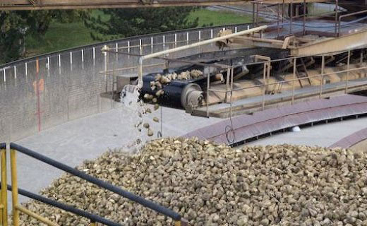 Primo processo primo processo